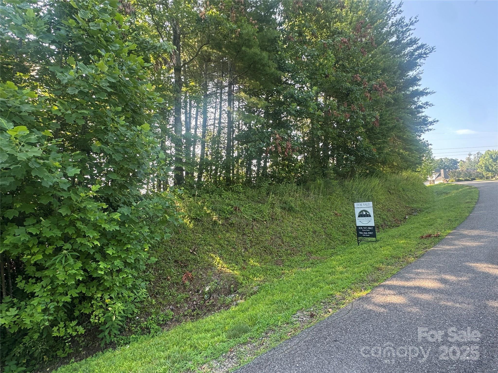 Property Photo: 35 Nader Avenue NC 28787