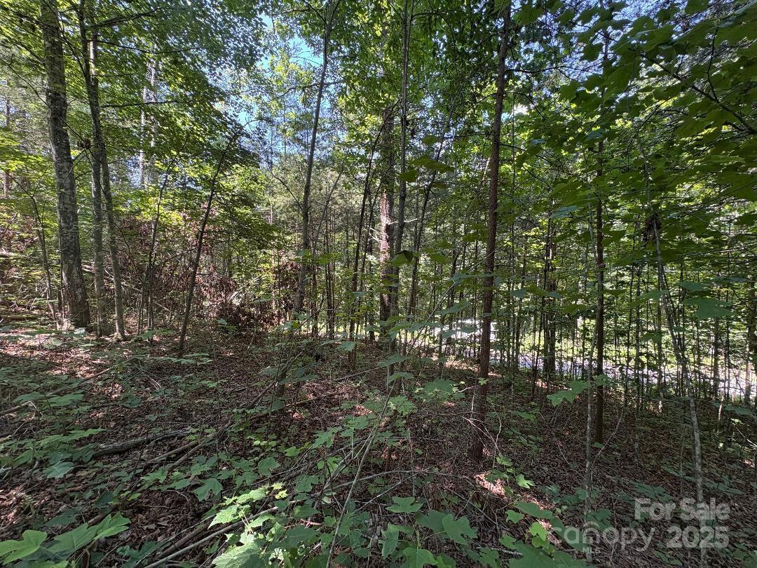 Property Photo:  Lot 13 Wildflower Way  NC 28752 