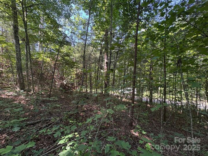 Property Photo: Lot 13 Wildflower Way NC 28752