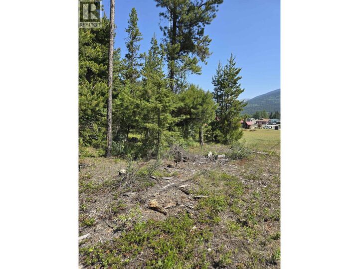 Property Photo:  1 Pine Road Lot  BC V0E 2Z0 