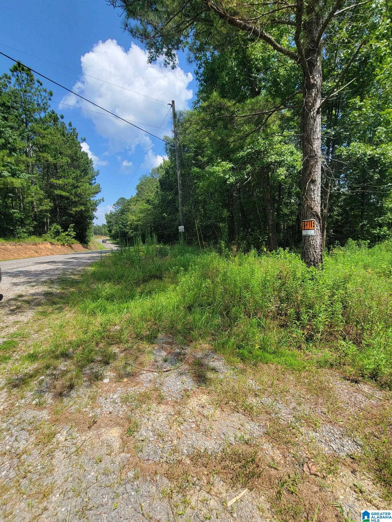 Property Photo: 499 Sweet Apple Road None AL 35128