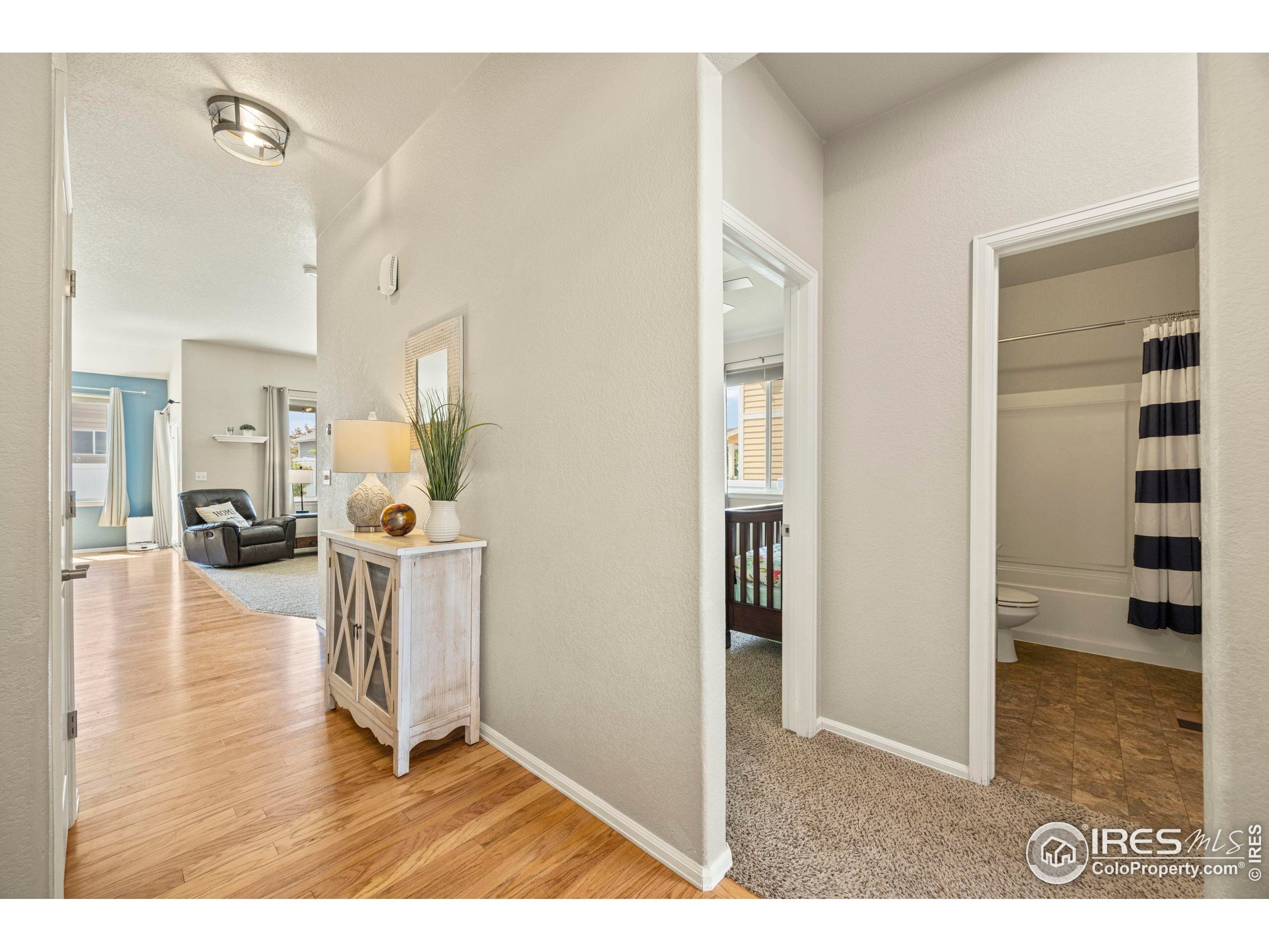 Property Photo: 381 Mt Bross Ave CO 80550