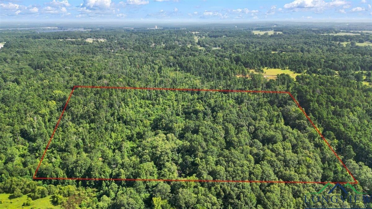 Property Photo:  2469 N County Road 222  TX 75652 