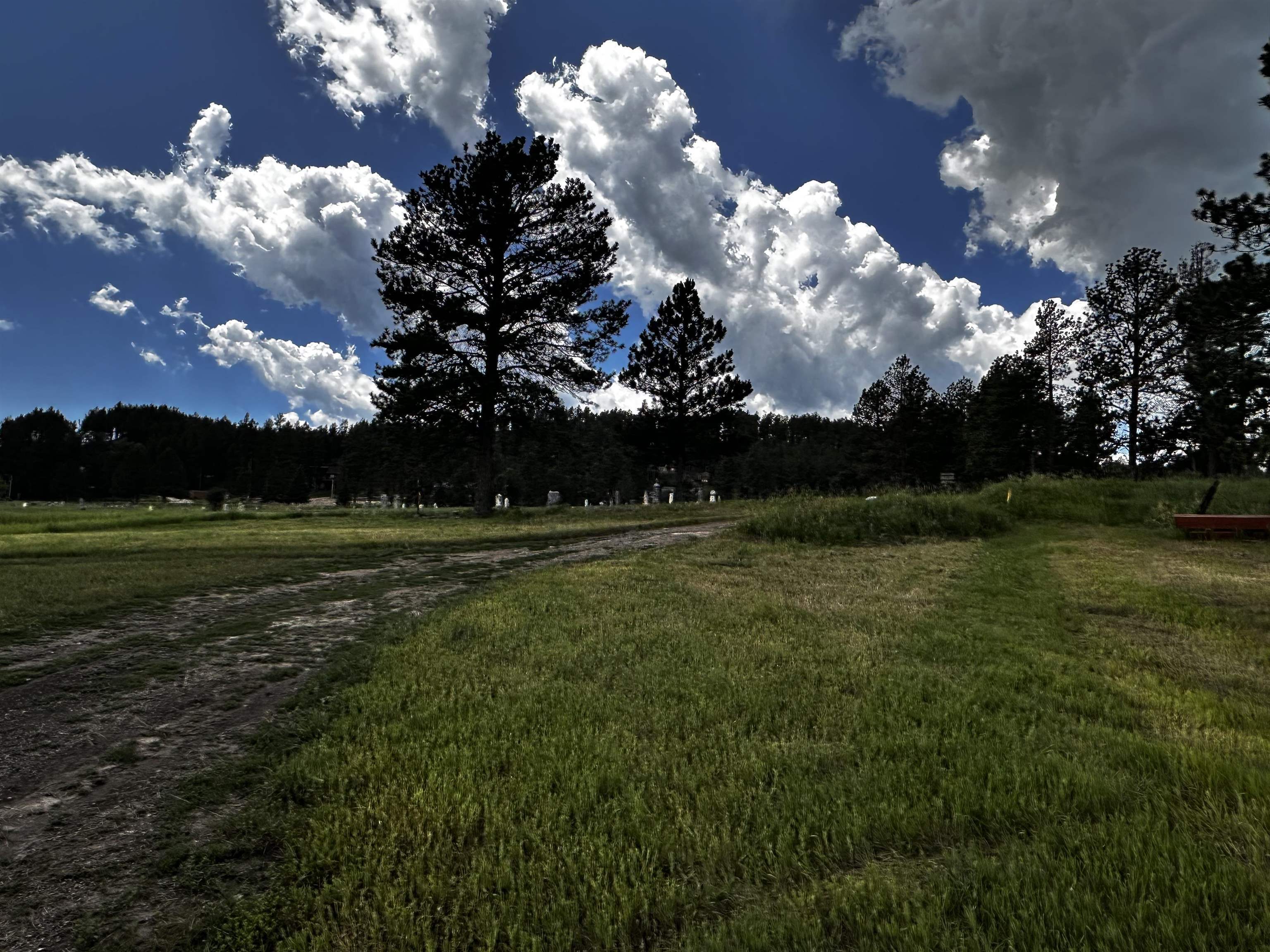 Blk 6 Lot 9  Hill City SD 57745 photo