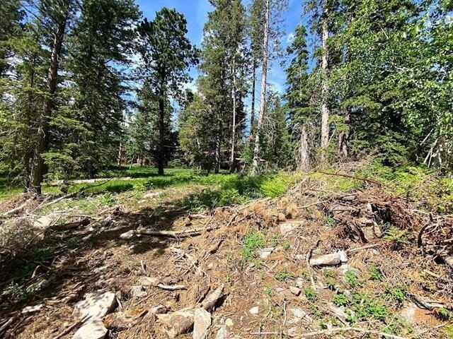 Property Photo: Lot 25 Blue Sky Loop SD 57754