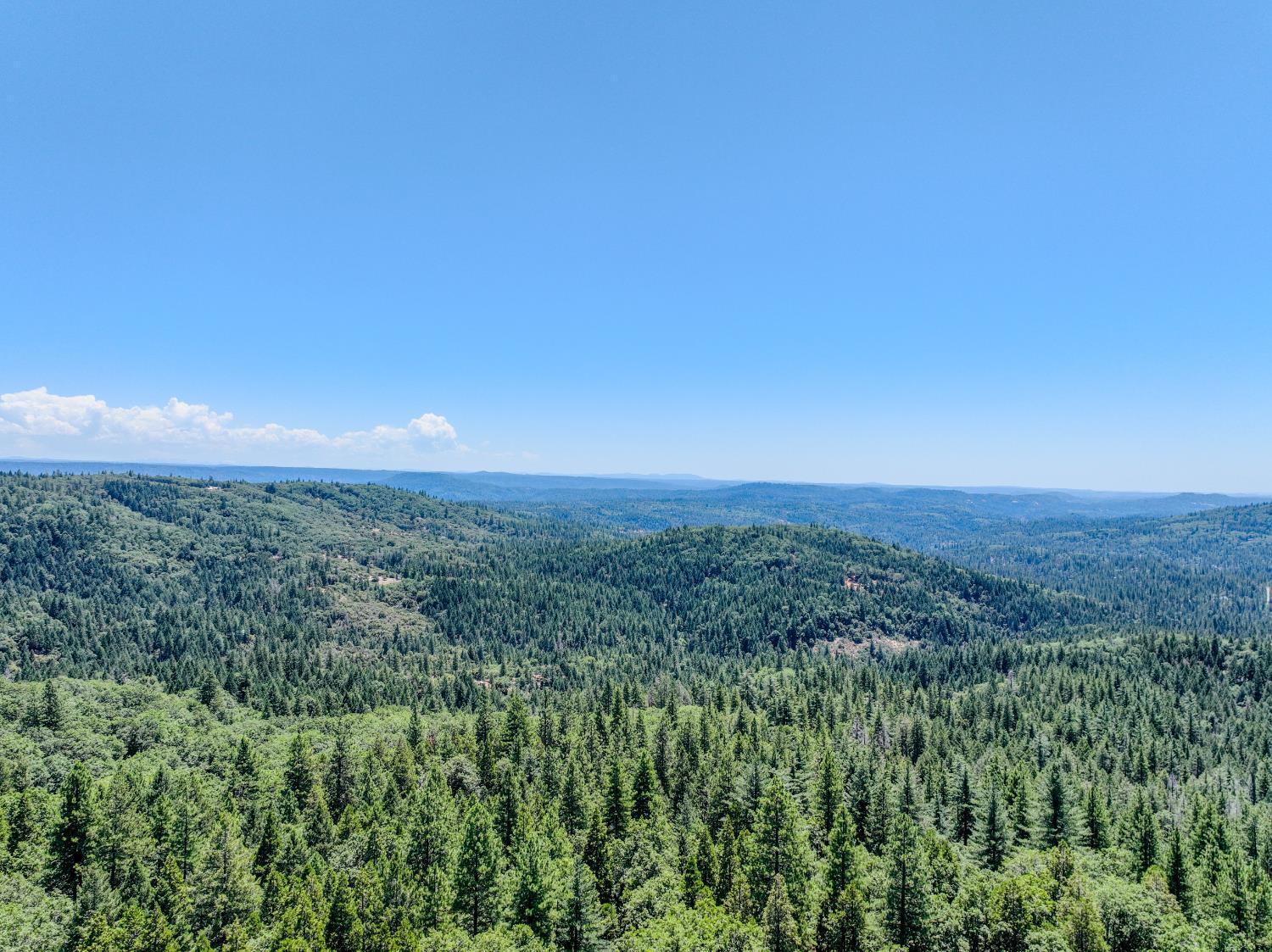 Property Photo: 11668 Blackberry Place CA 95959
