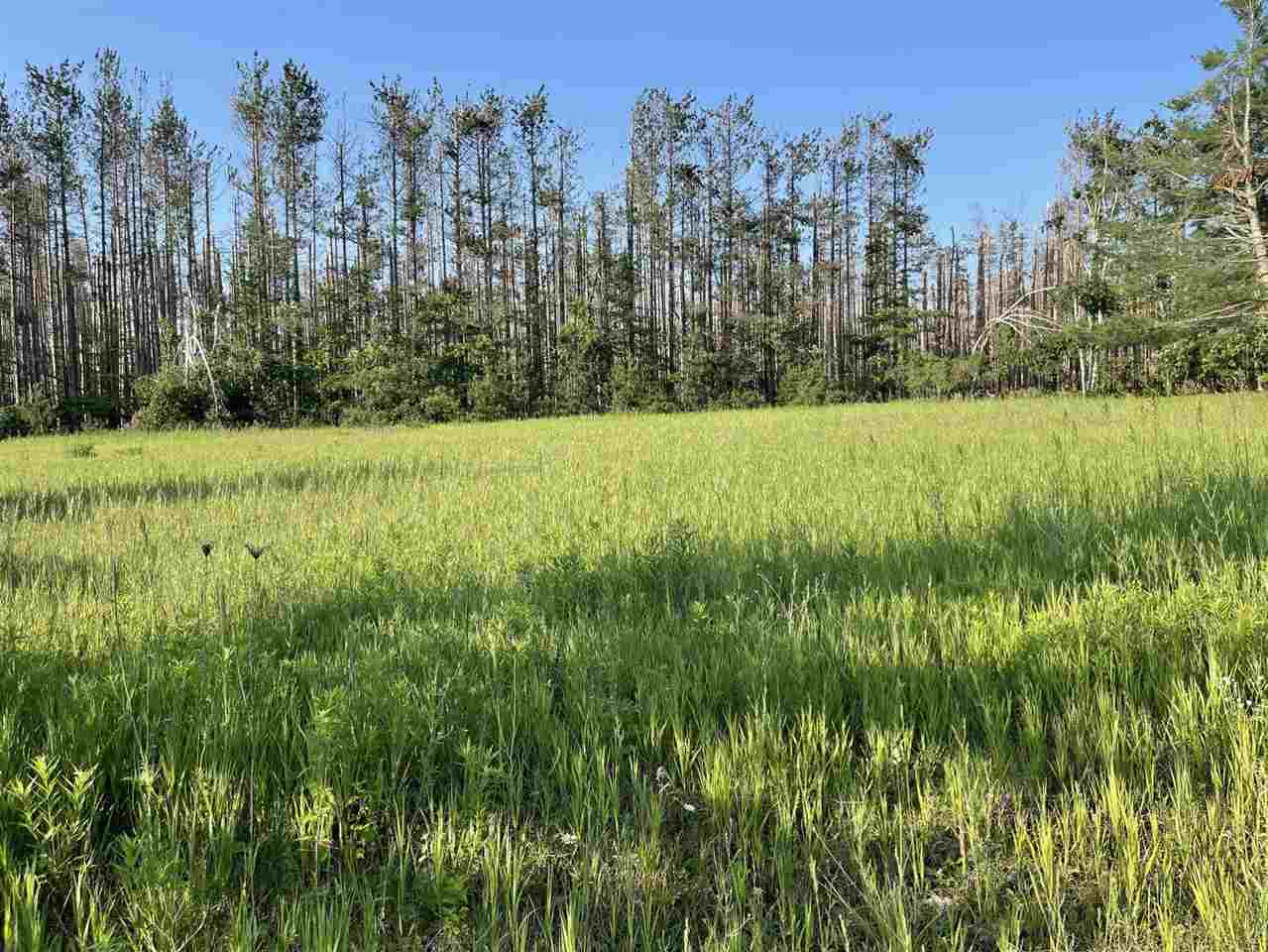 Property Photo: 2311 Pinecrest MI 49740