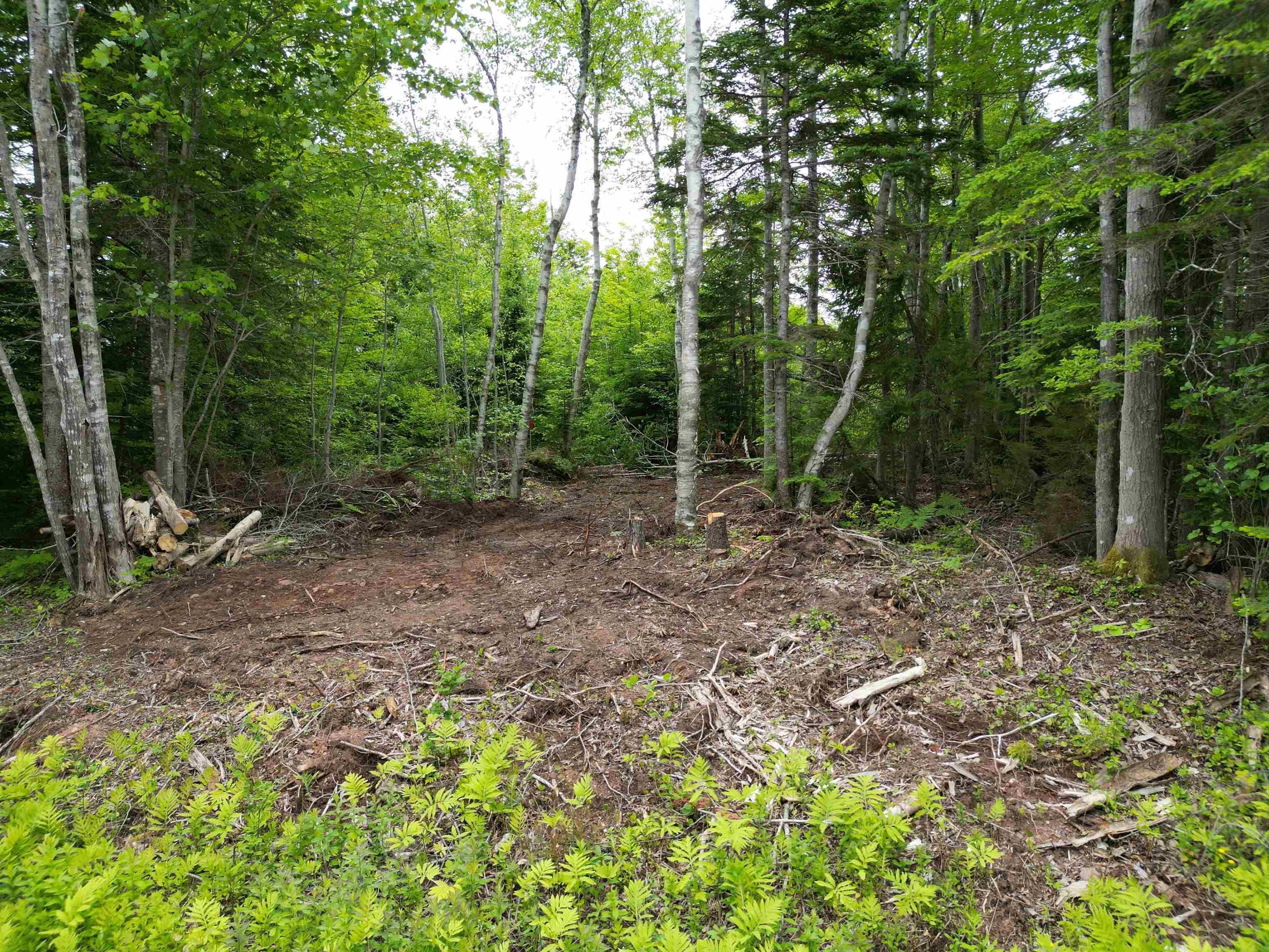 Property Photo:  Highway 223  NS B1T 1M2 