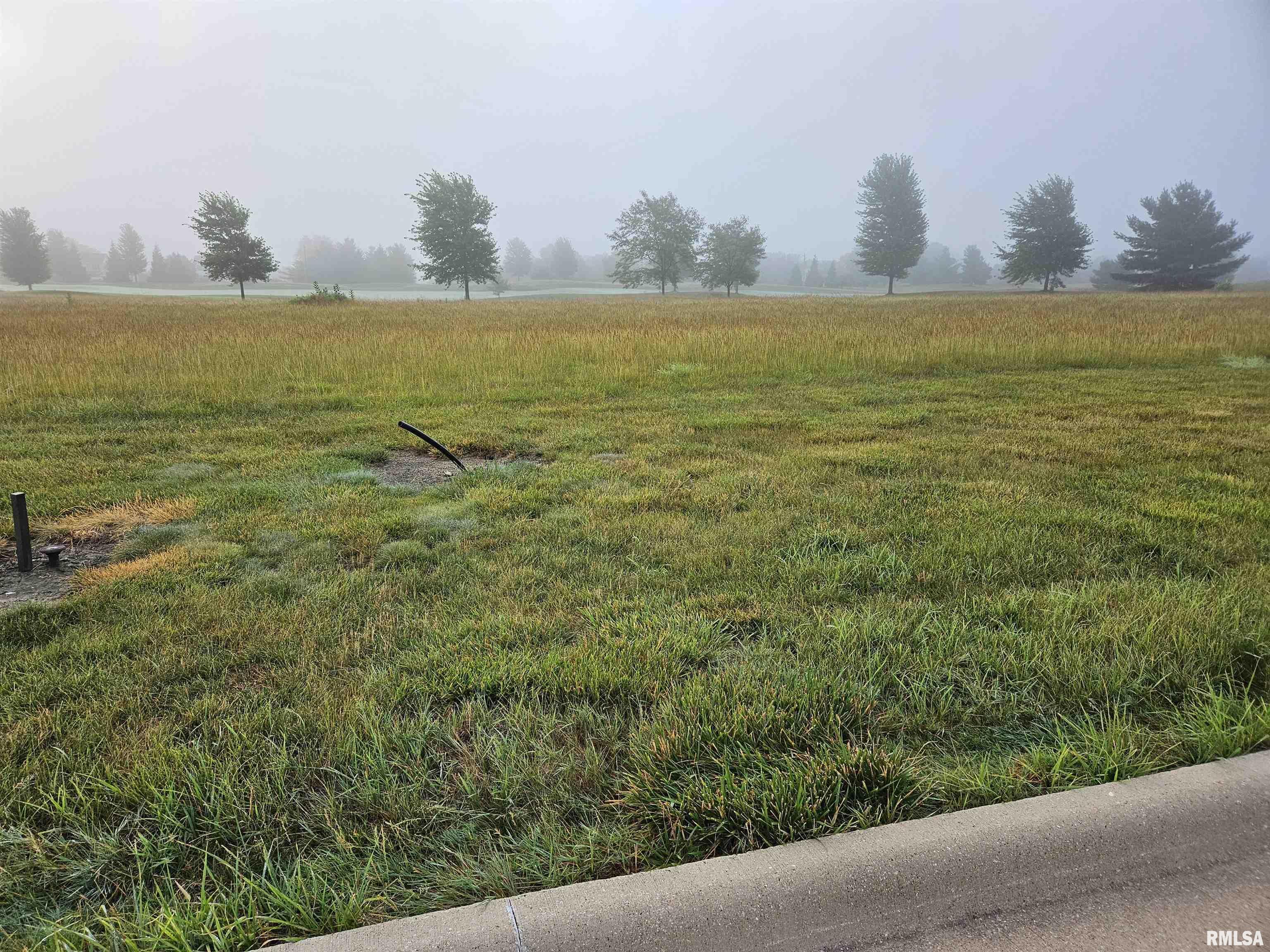 1015 Harmon Lane  Metamora IL 61548 photo