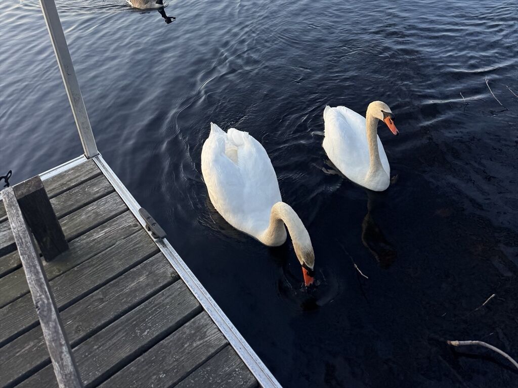 Property Photo:  85 Crescent Street  MA 02453 