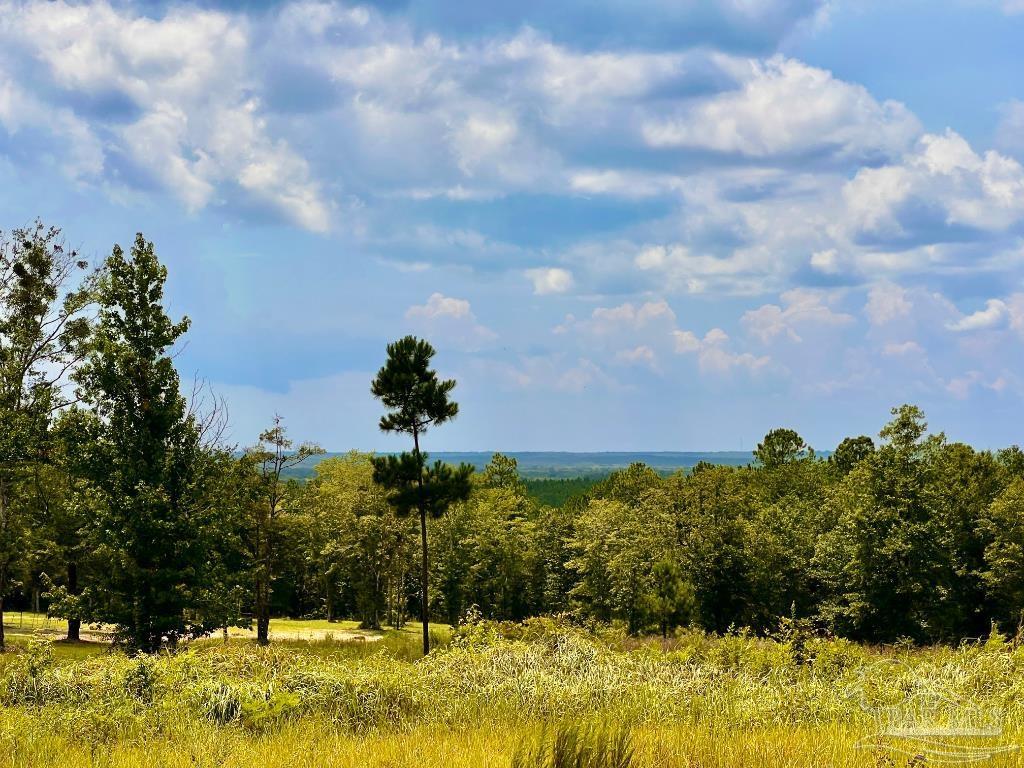 Property Photo:  Lot 38 Br Buffalo Ridge Rd  FL 32571 