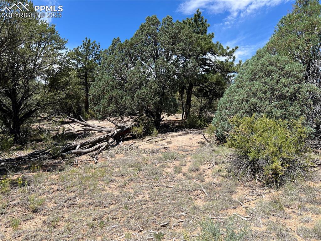 Property Photo: 216 West View Road CO 81223