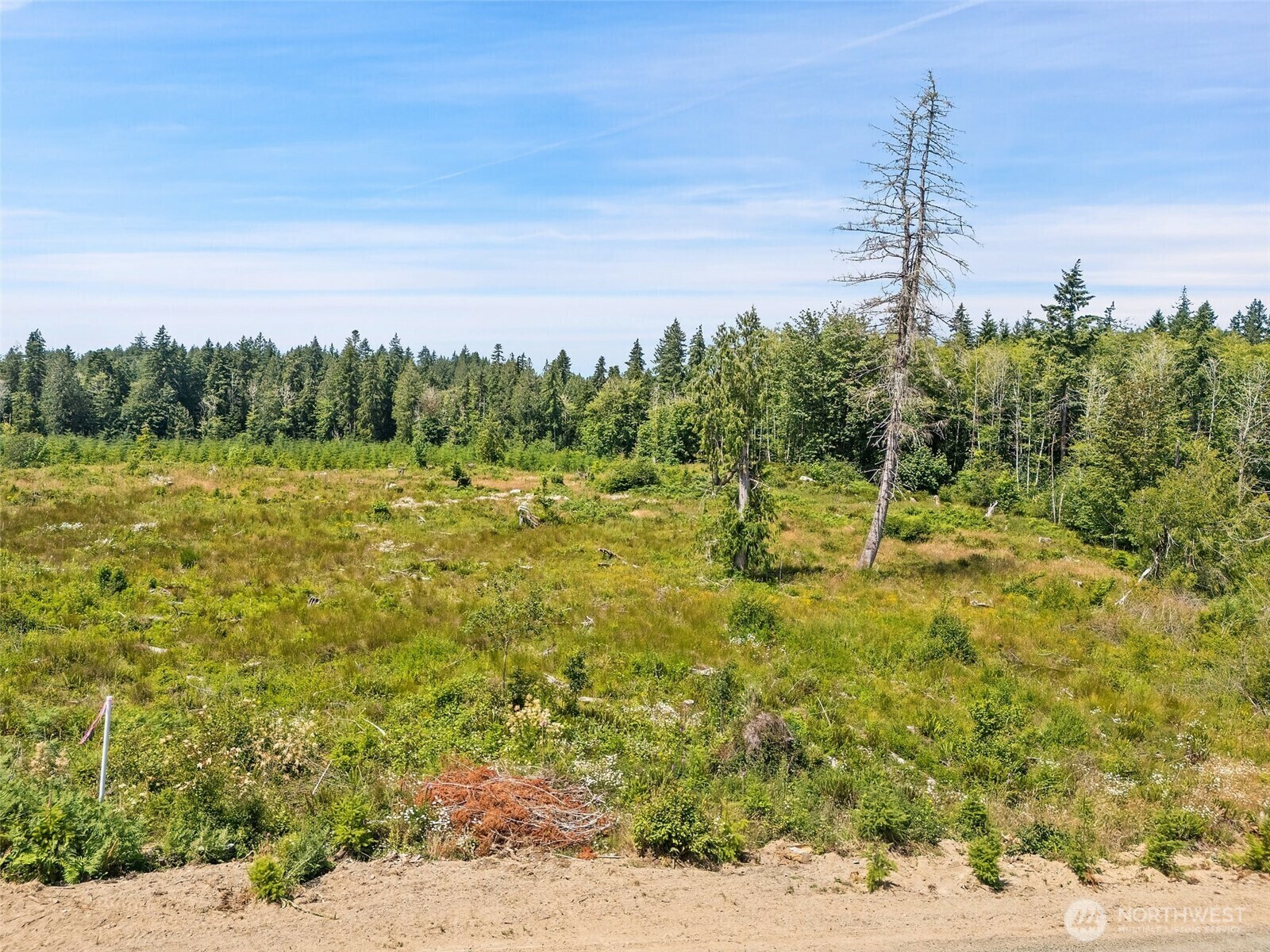 Property Photo: 0 Tr3 SE Wellswood Way WA 98584