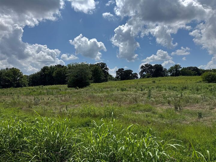 Property Photo:  2009 Hardison Road  KY 42170 