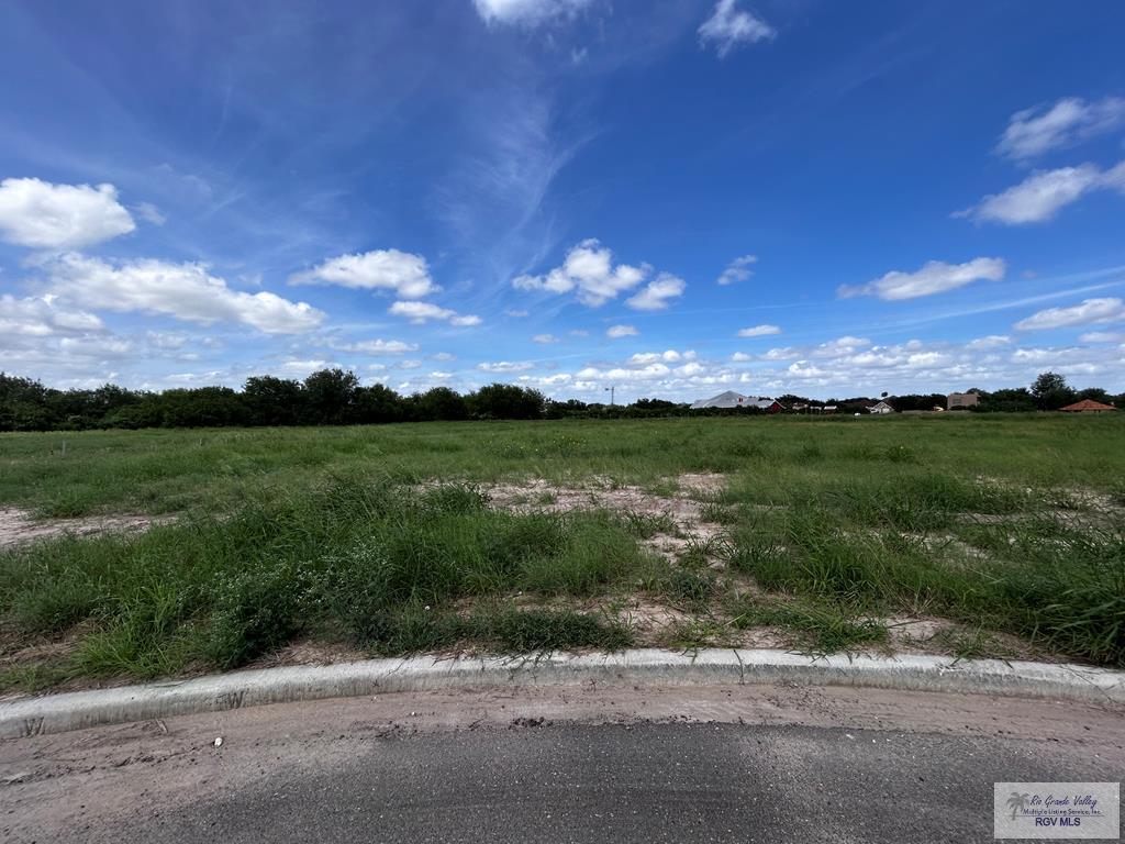 Property Photo:  3520 Charolais Ct  TX 78573 