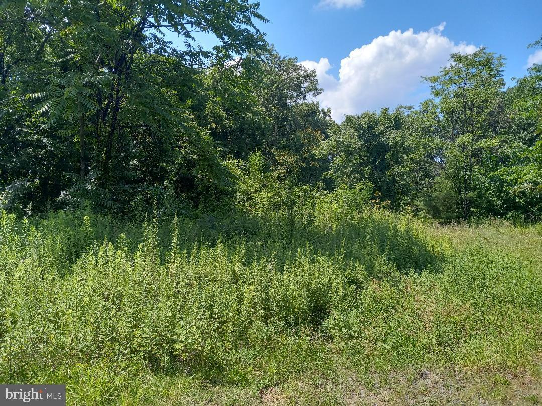 Property Photo: Pennsylvania Ave. NJ 08075