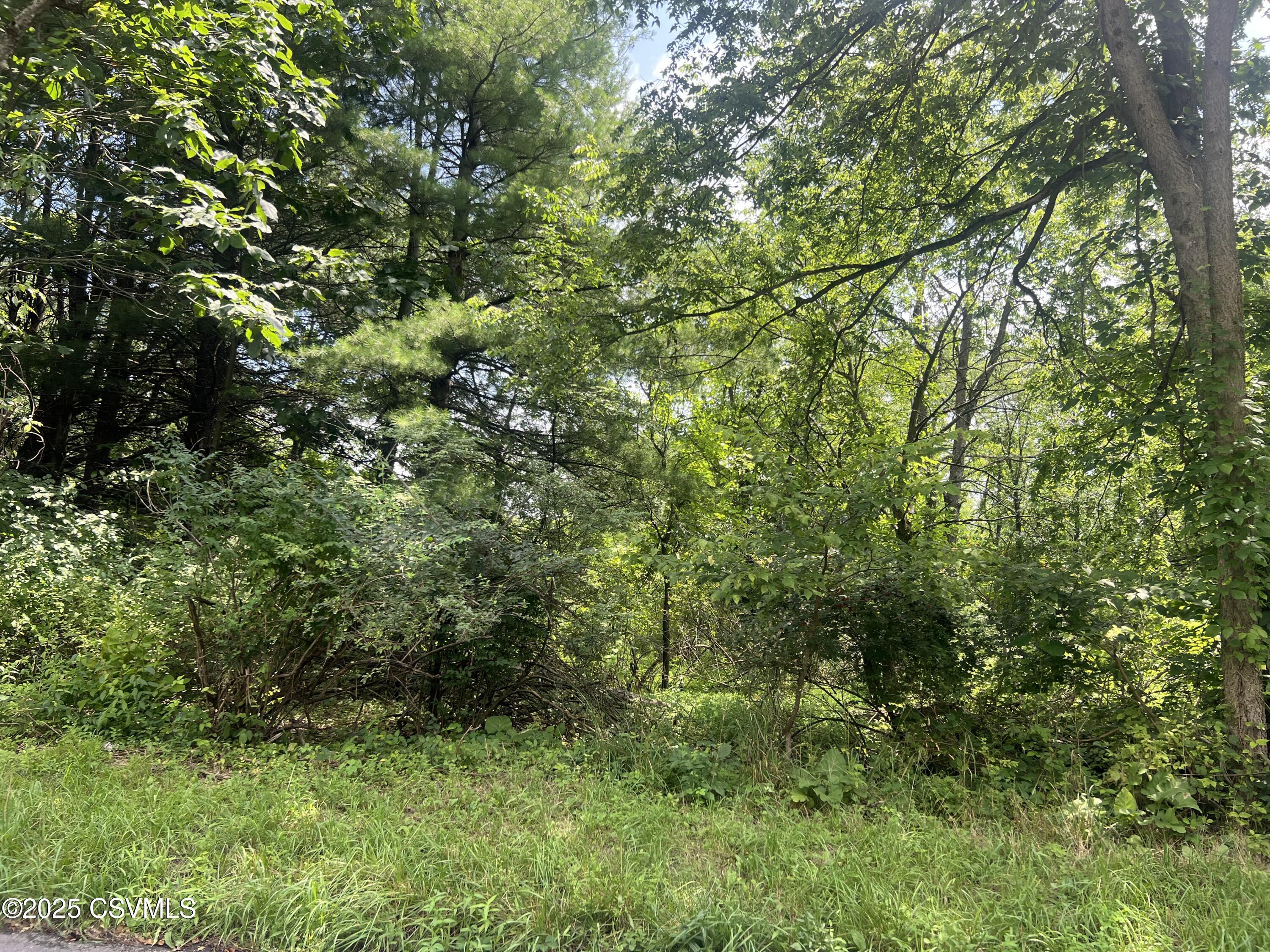Property Photo: 609 Hardscrabble Lane PA 17837