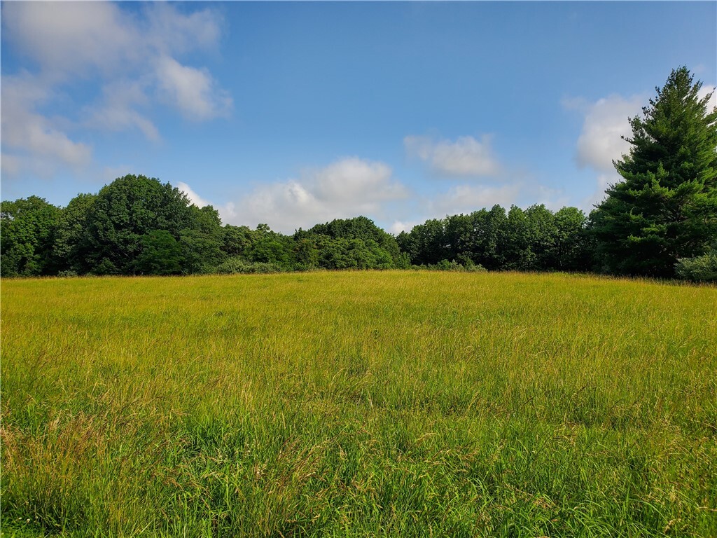Property Photo: Danceland Road IL 62521
