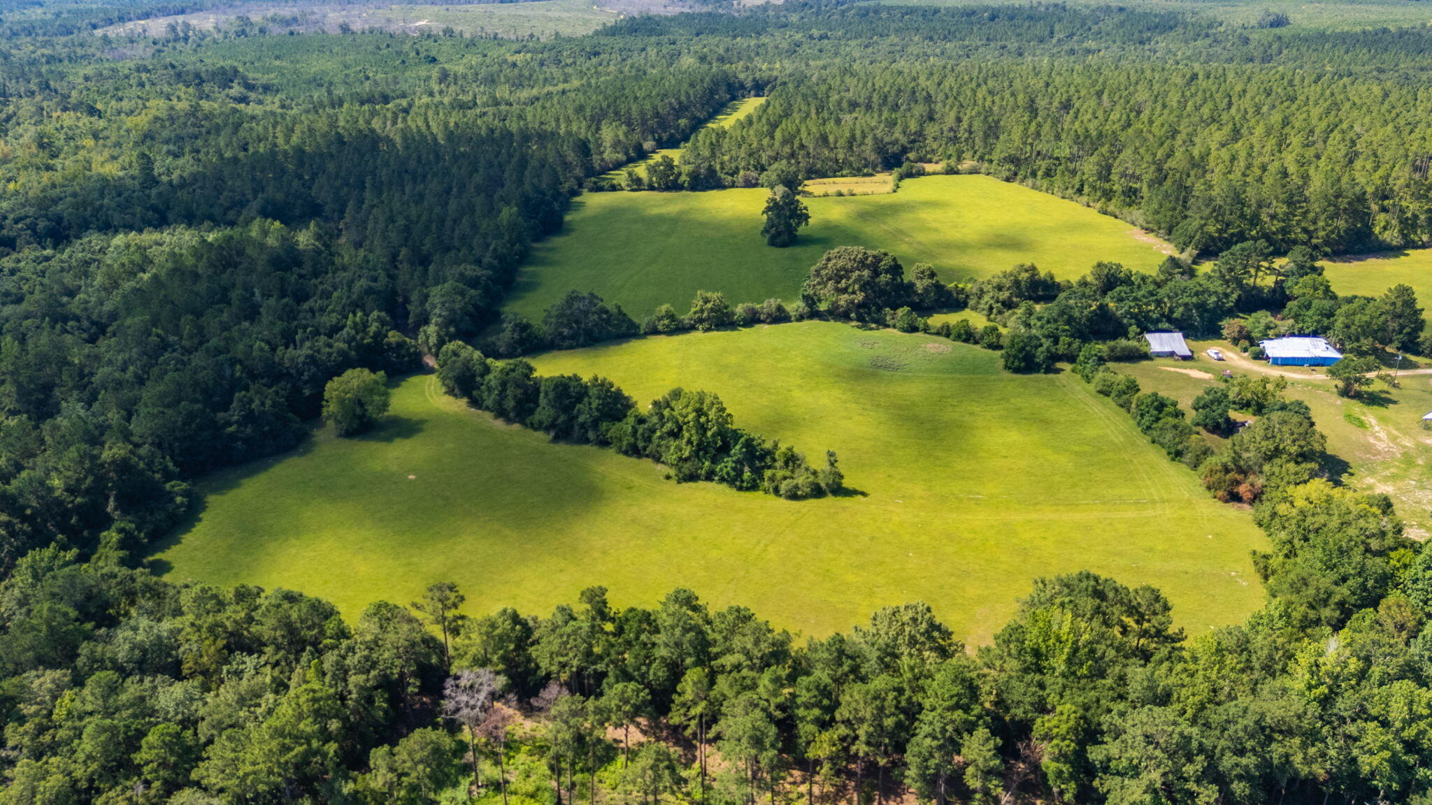 Property Photo: 139 Acres Yorkey Road FL 32464