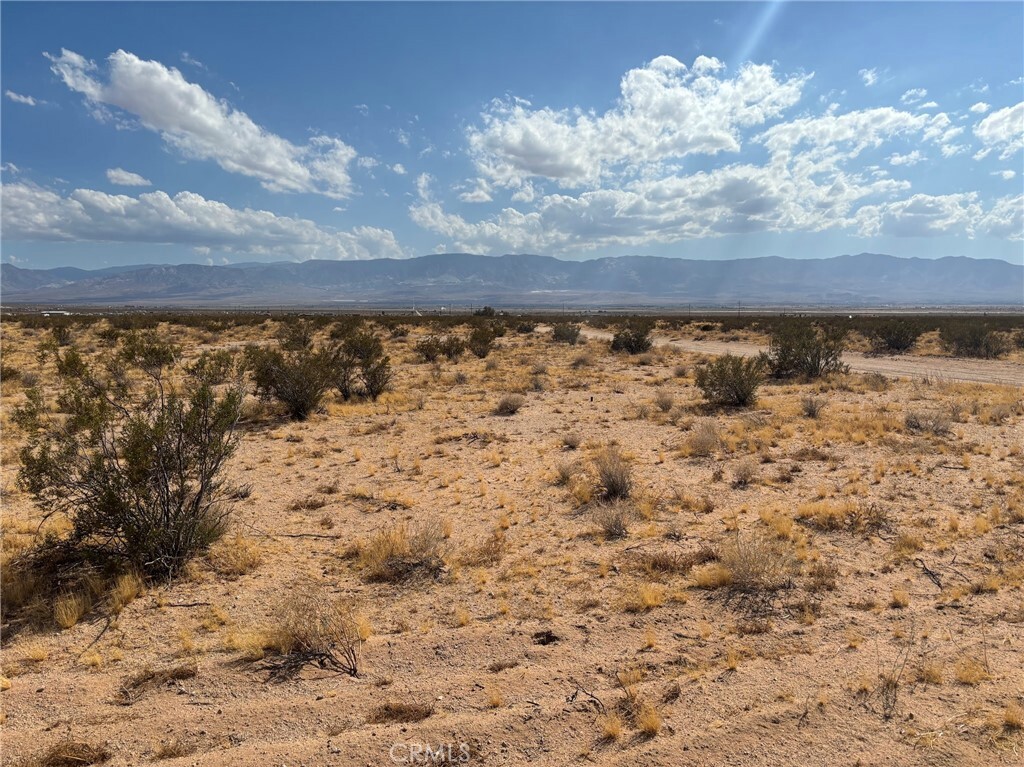 Property Photo: 0 Saxon Road CA 92356