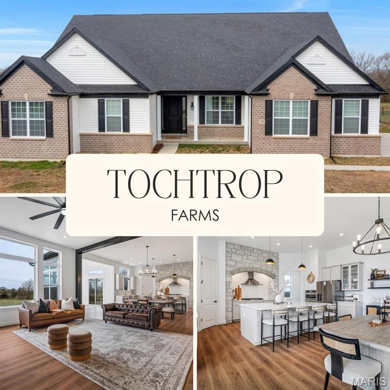 213 Bluegrass Pasture Court  Wentzville MO 63385 photo