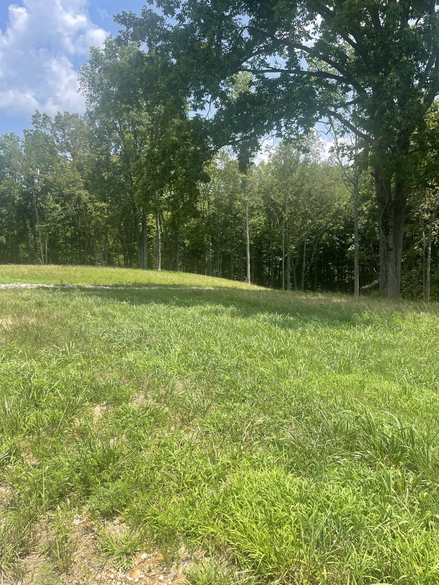 Property Photo:  0 Summerlake Ct  TN 37398 