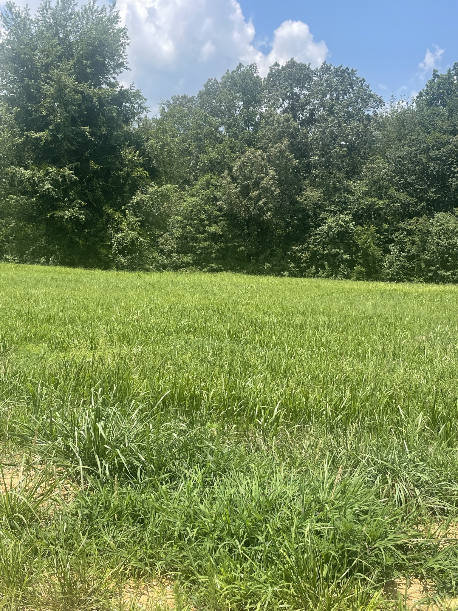 Property Photo: 0 Summerlake Ct TN 37398