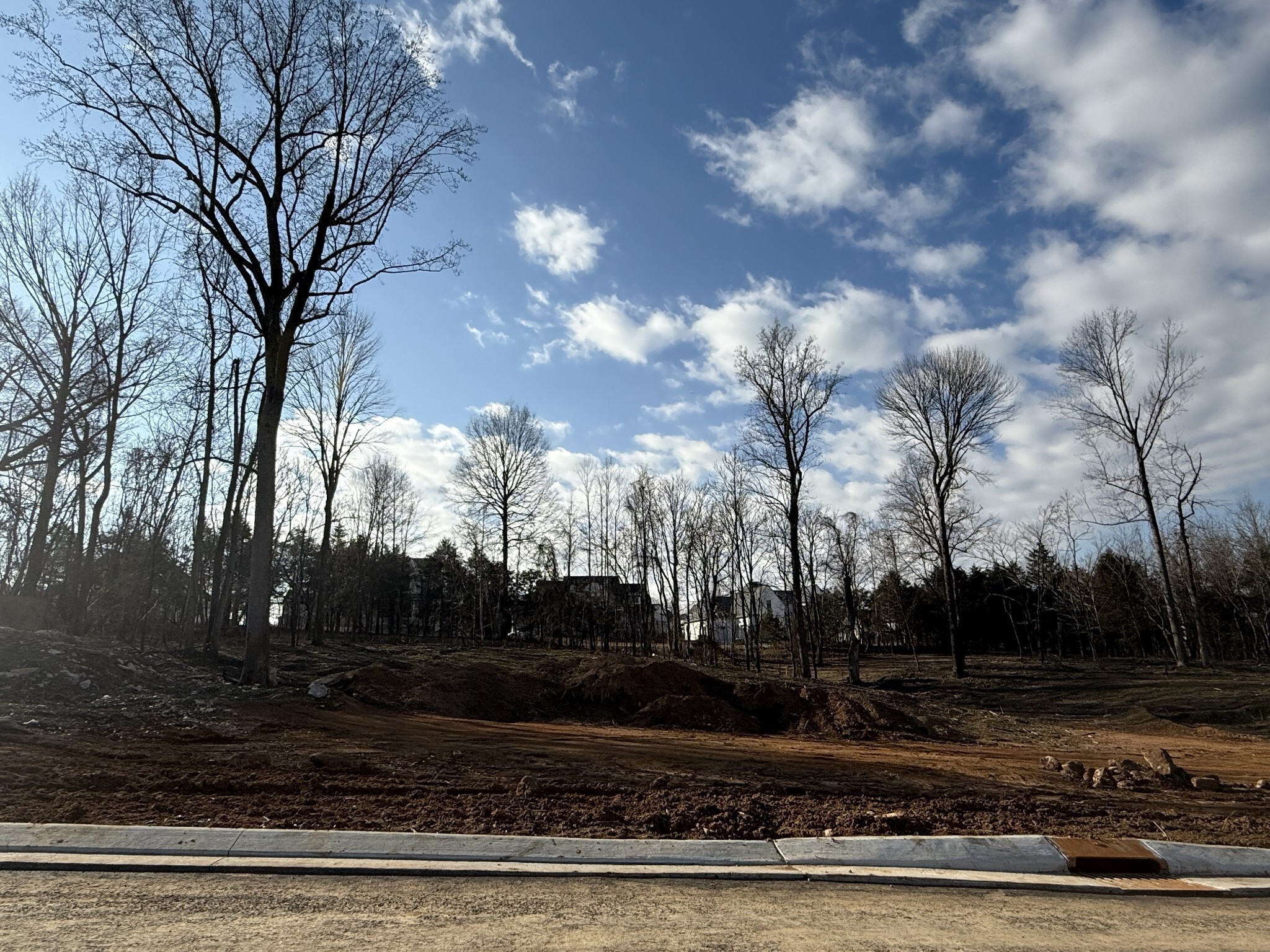 5713 Nola Dr  Arrington TN 37014 photo