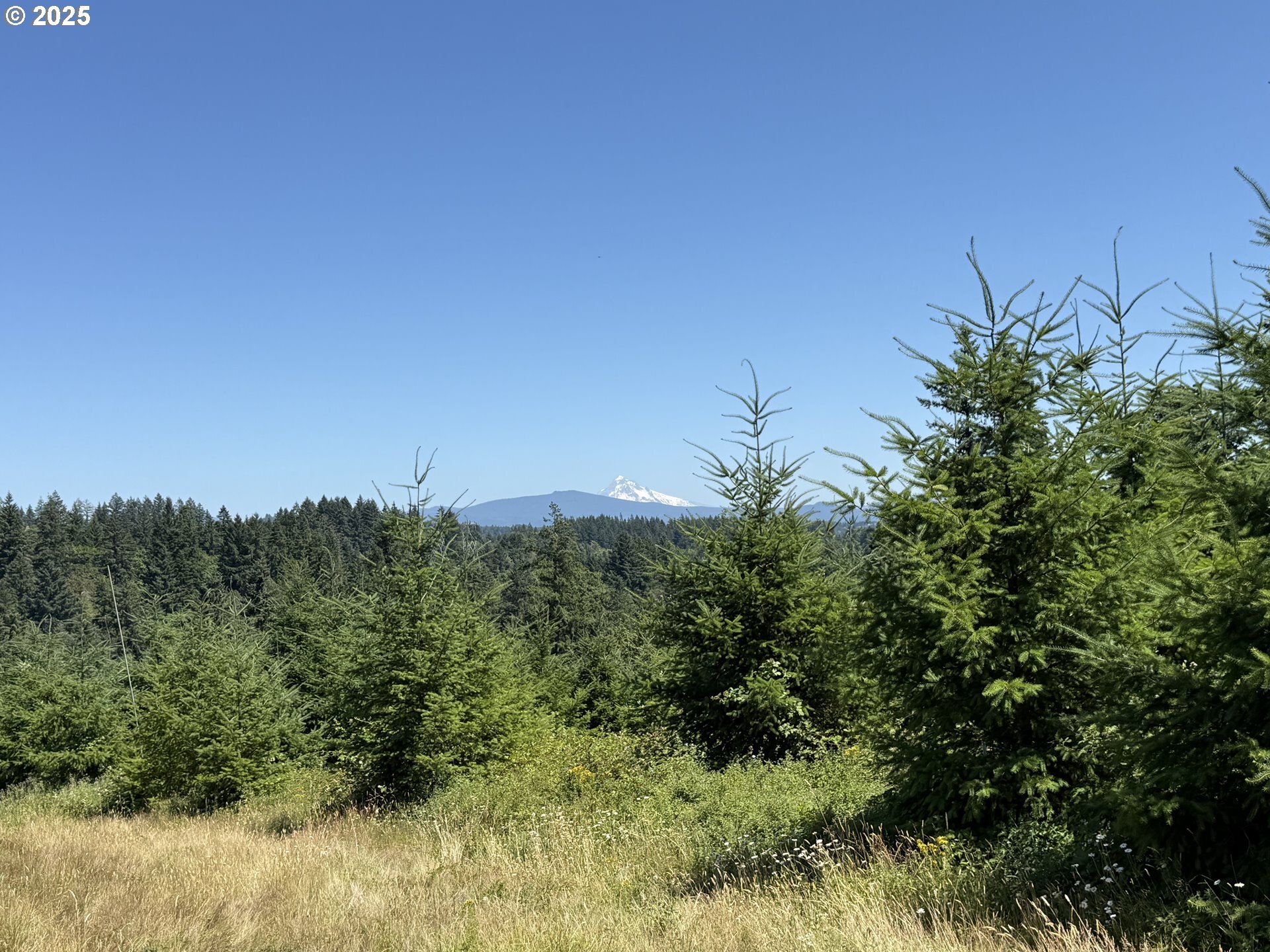 0 NE 277th Ave  Washougal WA 98671 photo