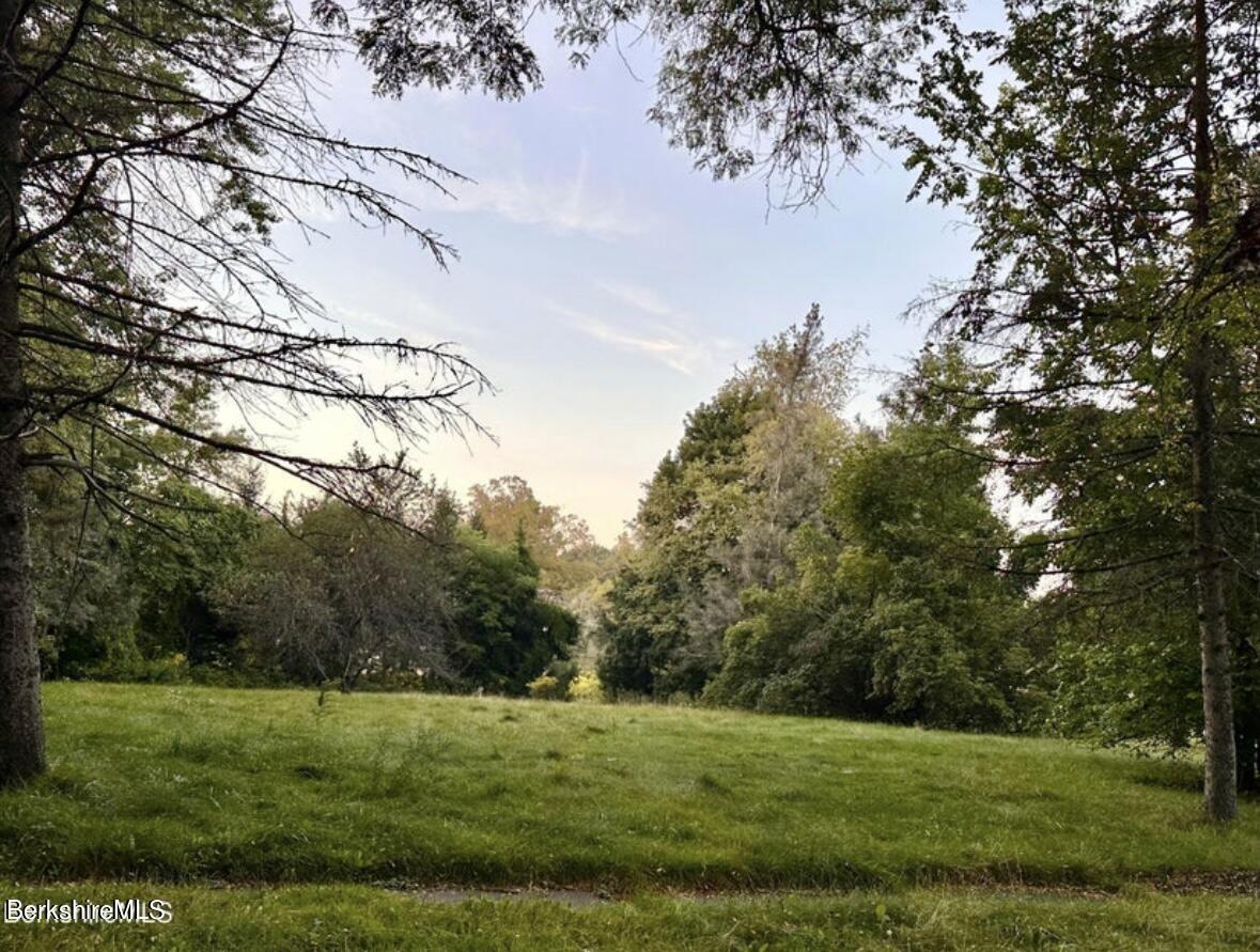 Property Photo:  0 Crane Ave  MA 01226 