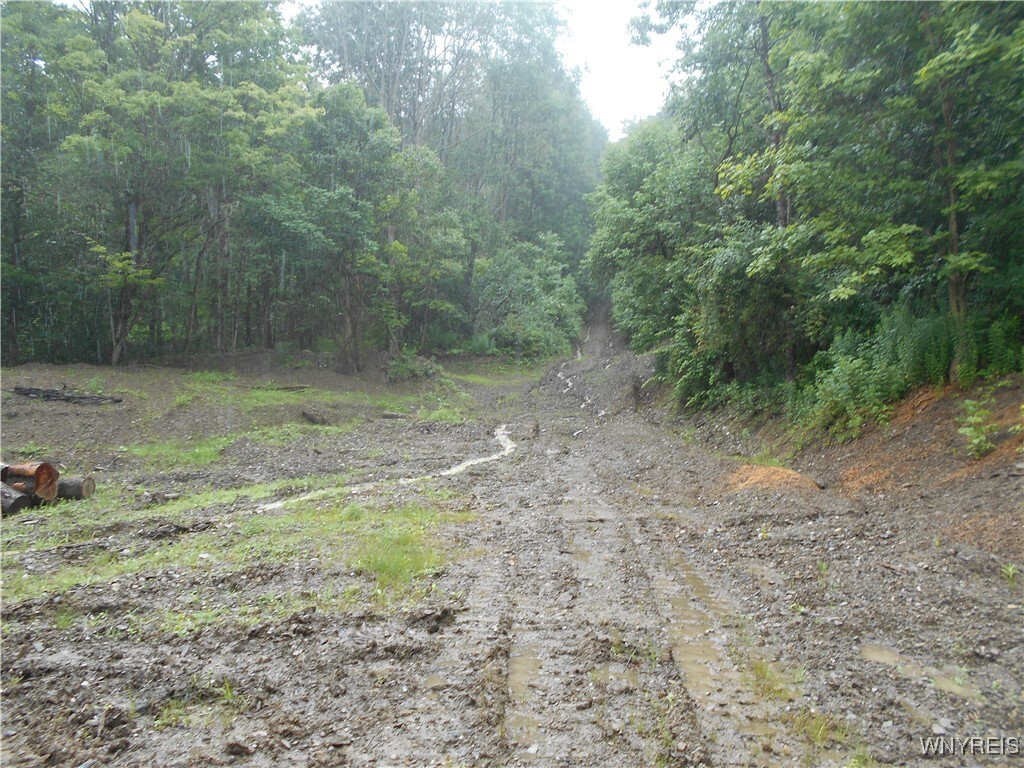 Property Photo:  Off Rt-98  NY 14737 