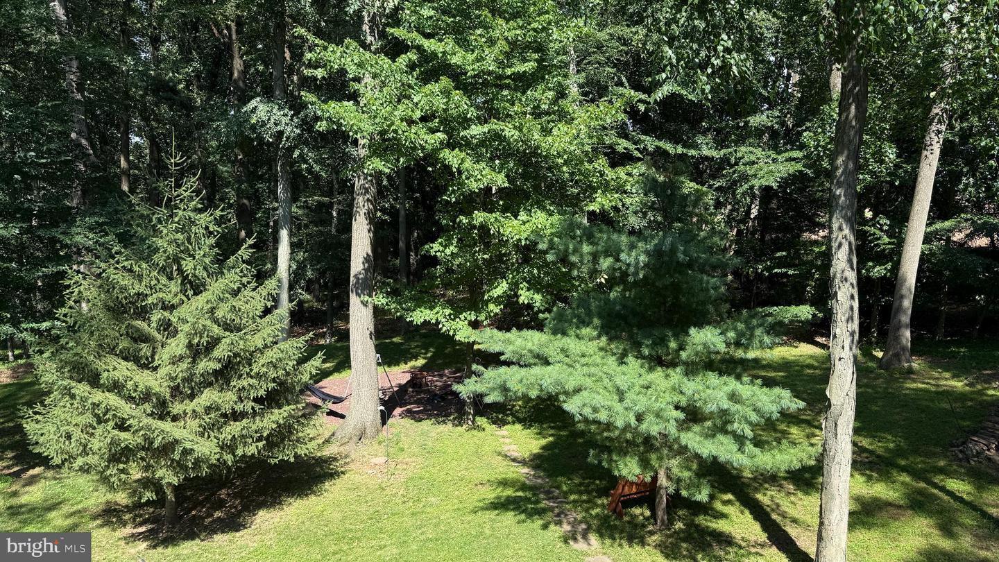Property Photo: 168 Lehigh Drive PA 18954