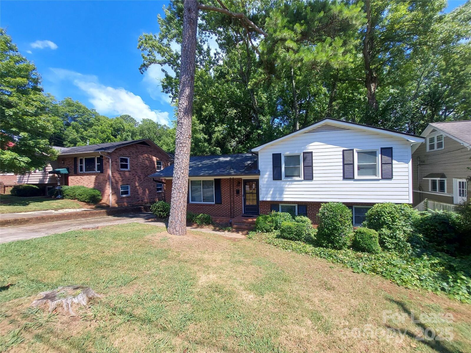 Property Photo:  3813 Selwyn Avenue  NC 28209 