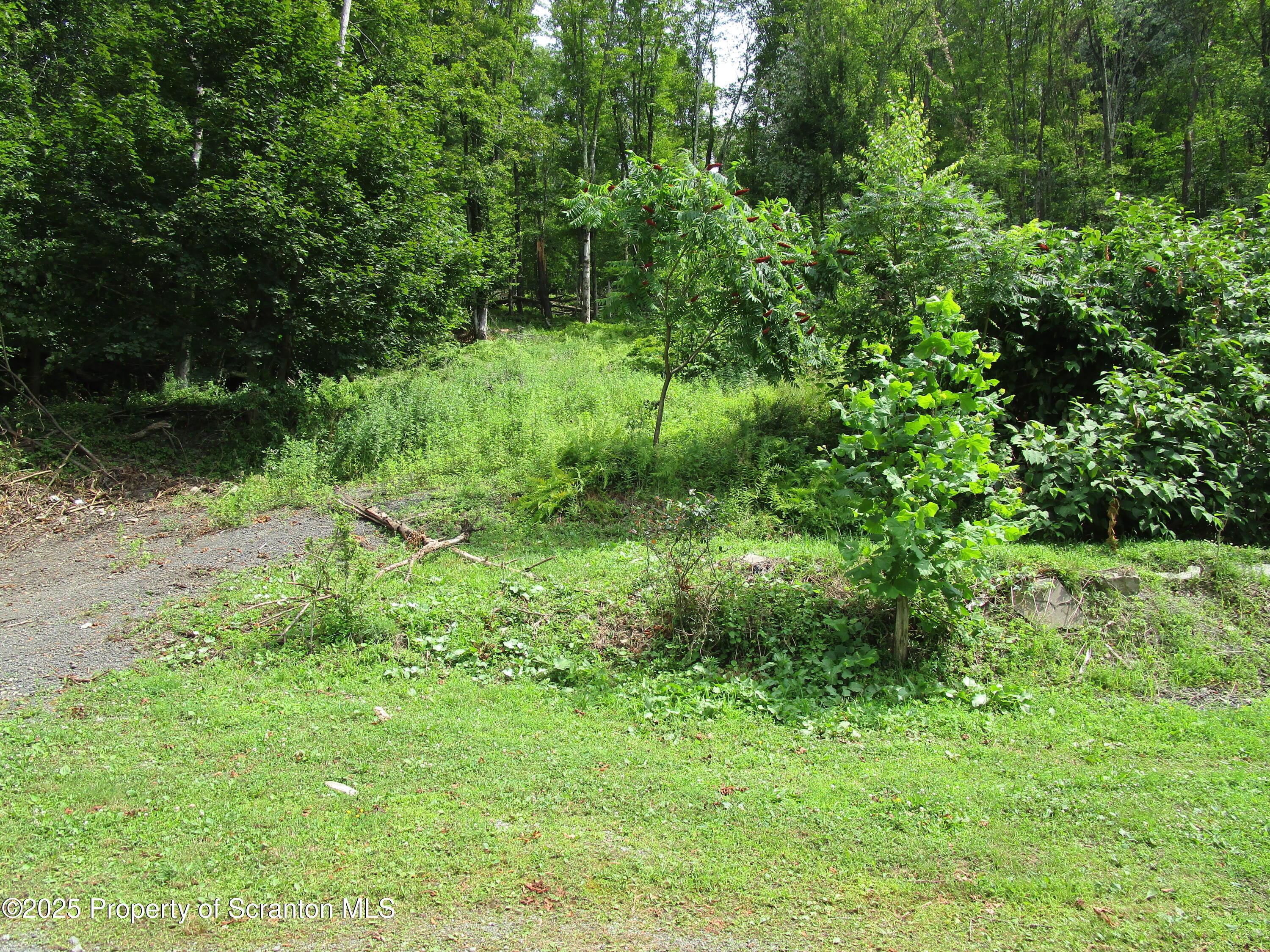 Property Photo: 351 Prospect Street PA 18847