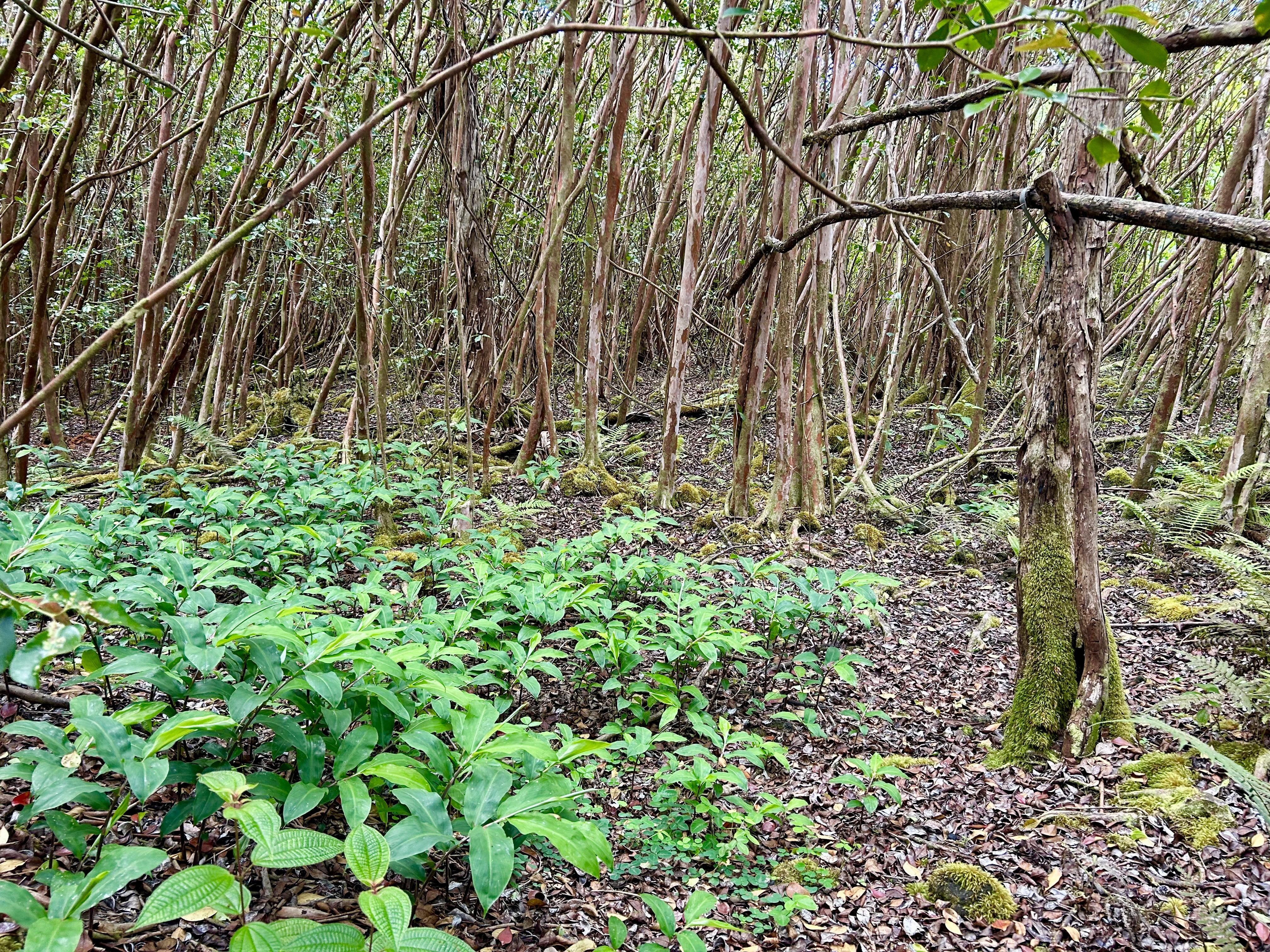 Property Photo: Molokai St HI 96778