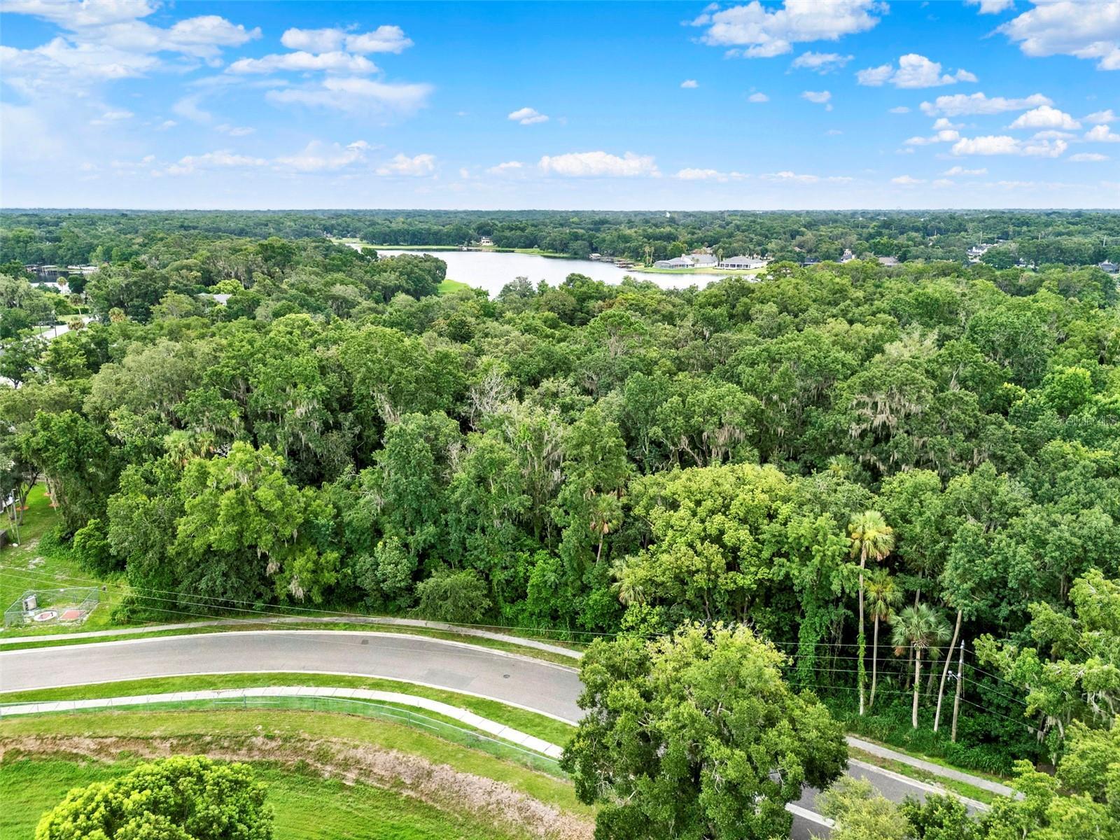 Property Photo: 390 Lake McCoy Drive FL 32712
