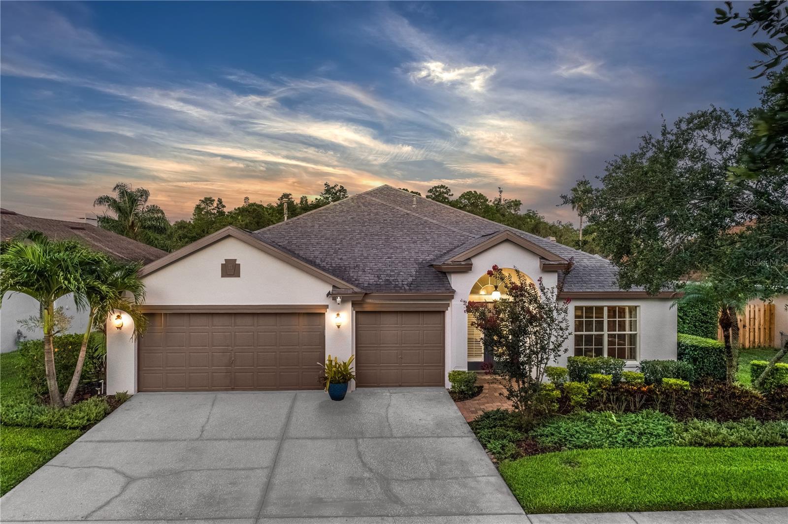 10231 Millport Drive  Tampa FL 33626 photo