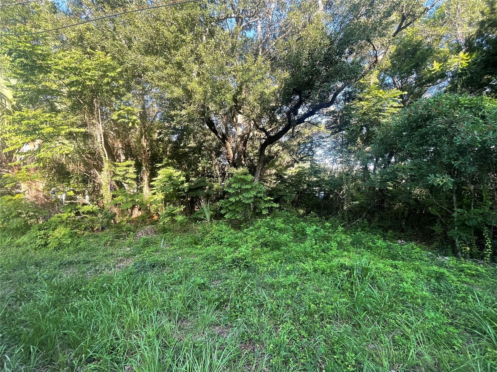 Property Photo: 4054 N Sun Dance Point FL 34428