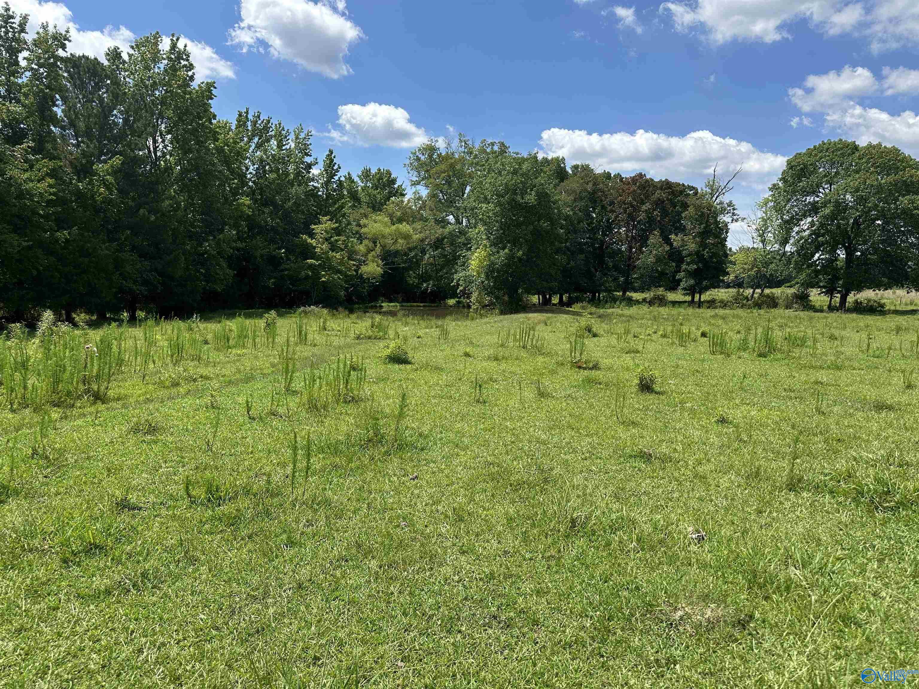 Property Photo: 9.1 Ham Road AL 35611