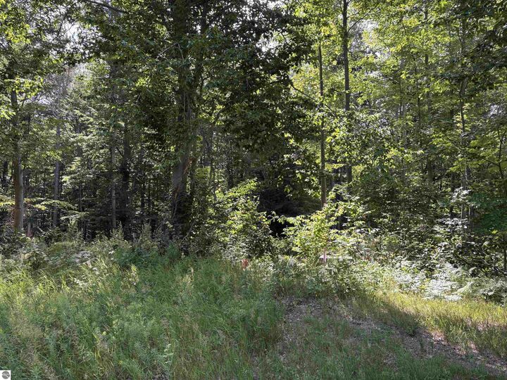 Property Photo:  116 Knoll One Drive  MI 49655-9414 