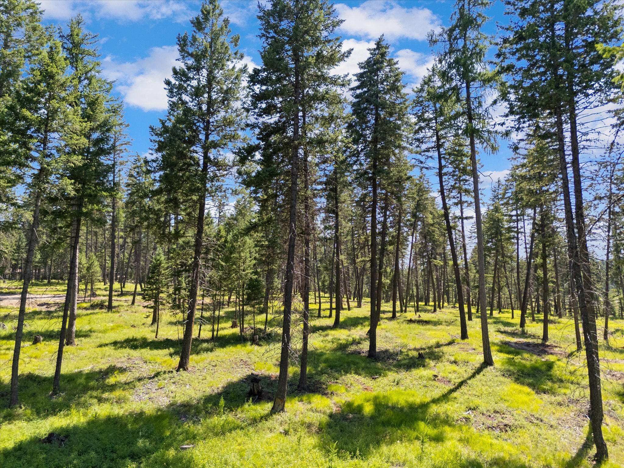 Property Photo: 4554 US Hwy 93 S MT 59937