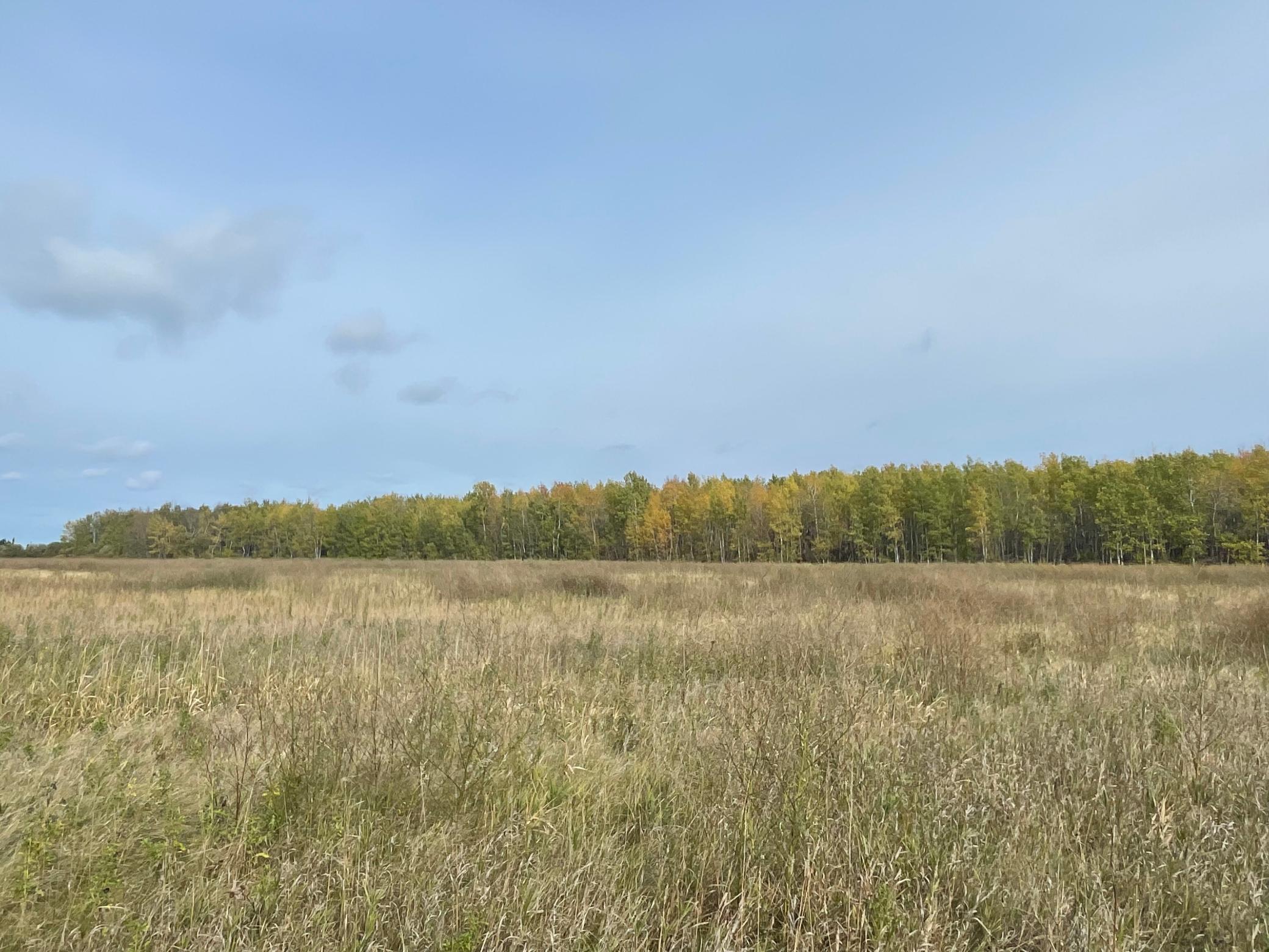 Property Photo: 15904 Shoreline Drive NE MN 56685