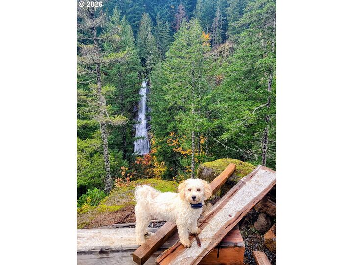 Property Photo:  Boulder Ridge  WA 98610 