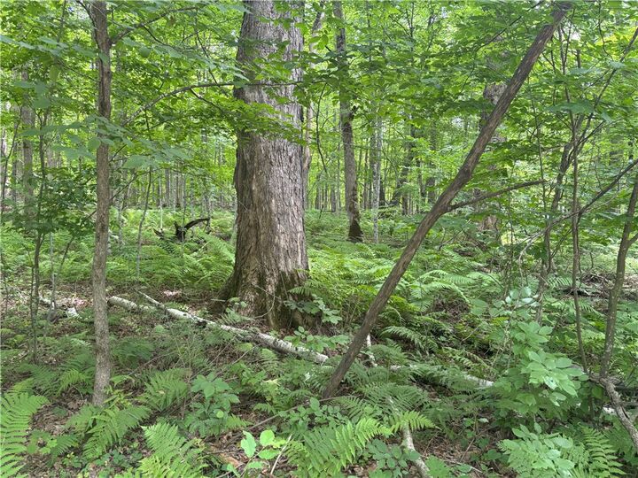 0 28 7/16-28 9/16 Street  Birchwood WI 54817 photo