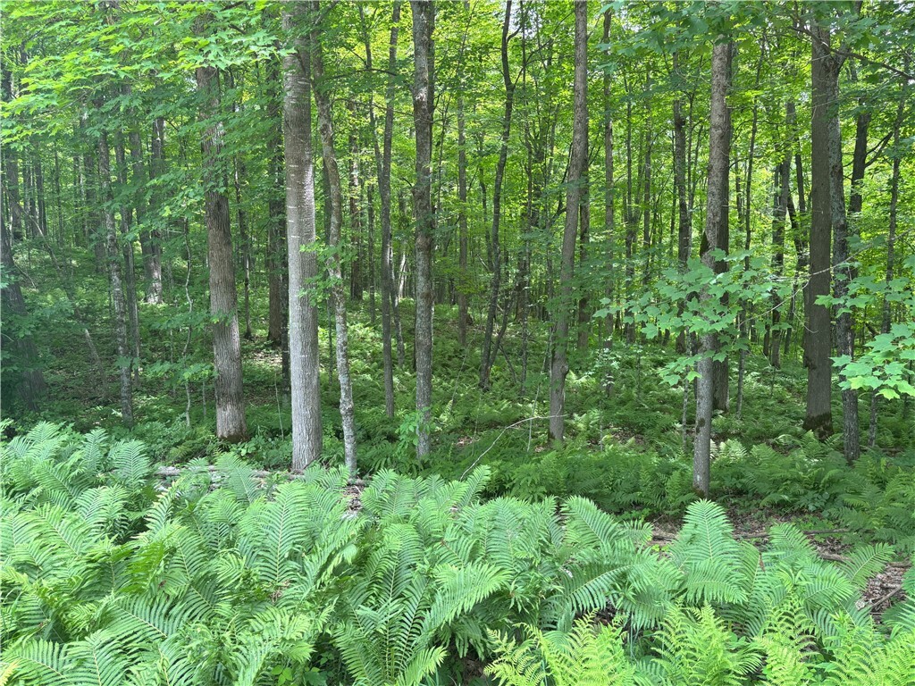 Property Photo:  0 29 1/2 Avenue Street  WI 54817 