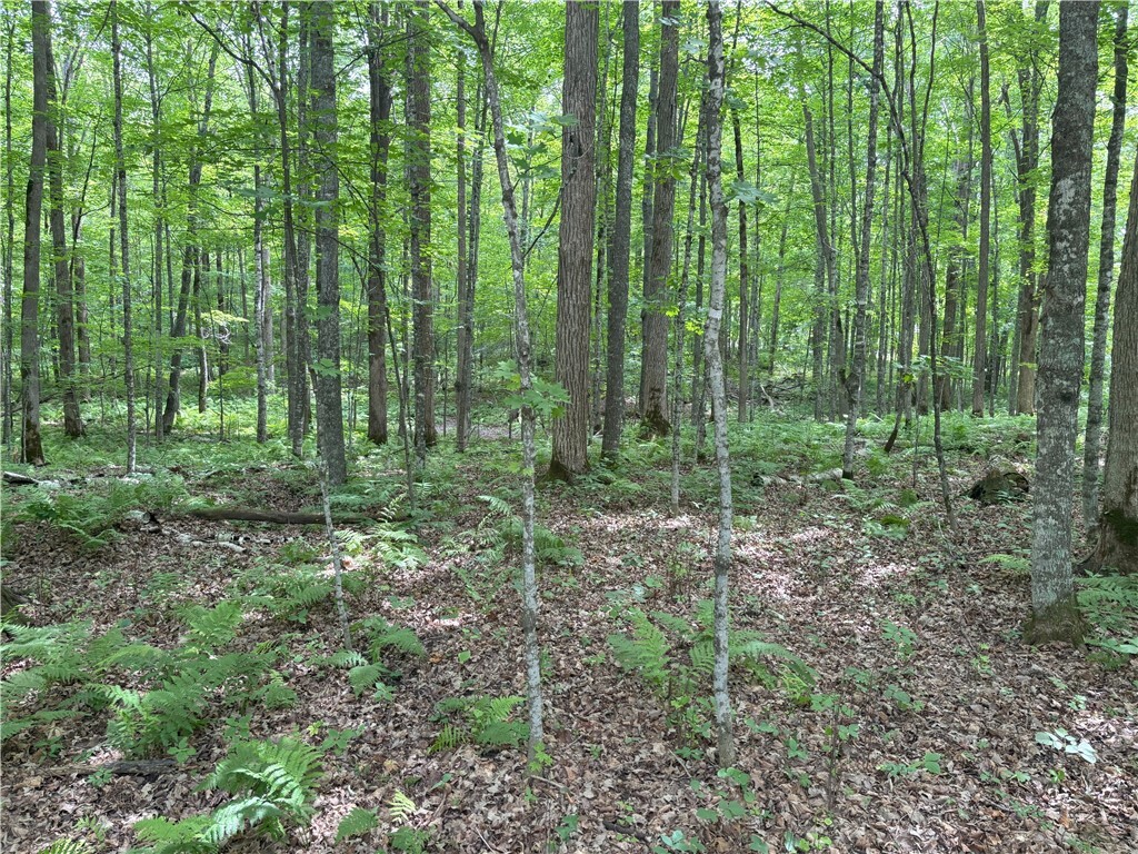 Property Photo: 0 29 1/2 Avenue Street WI 54817