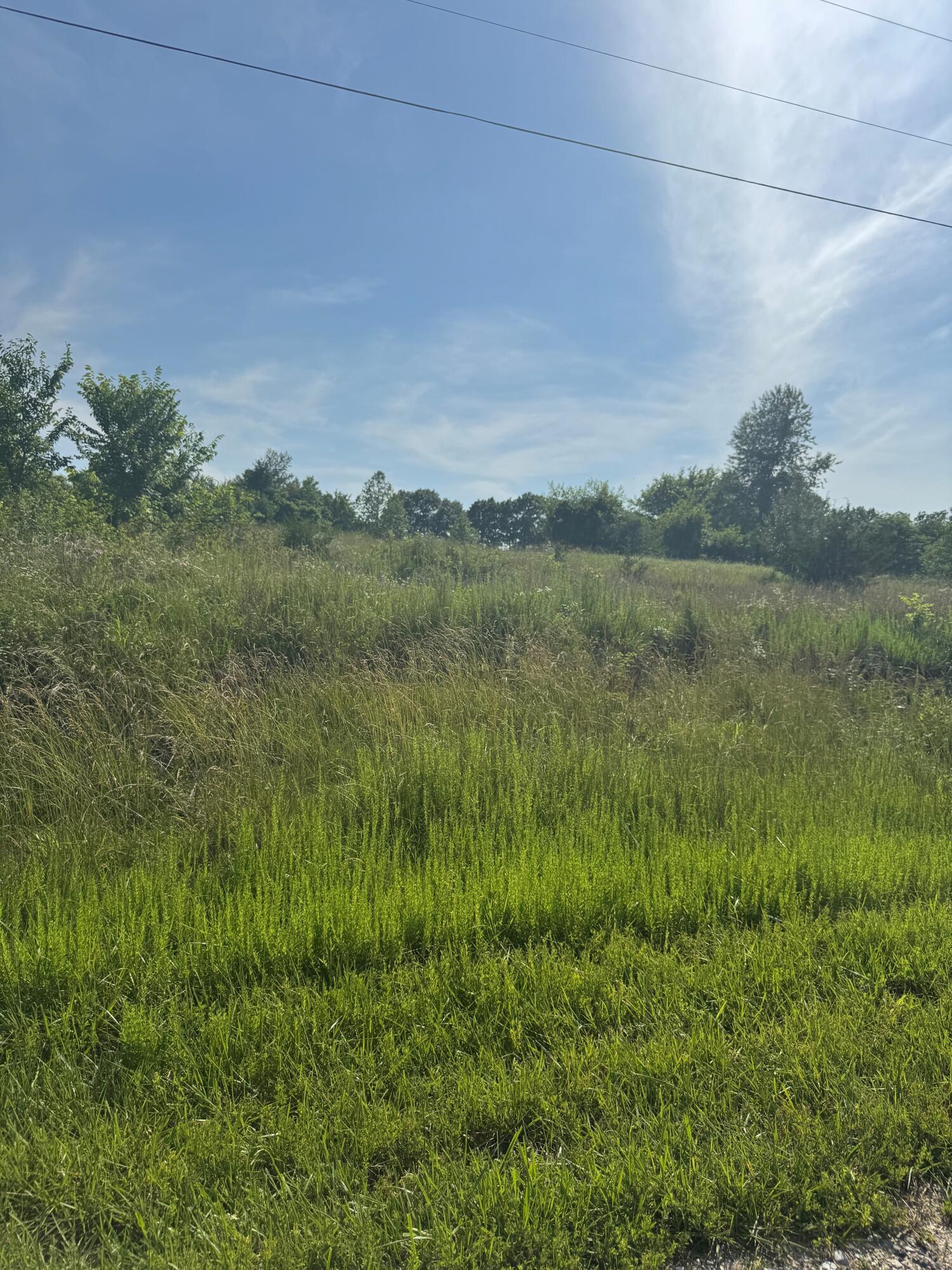 Property Photo: Tbd Lot 23 Blockade Village North MO 65745