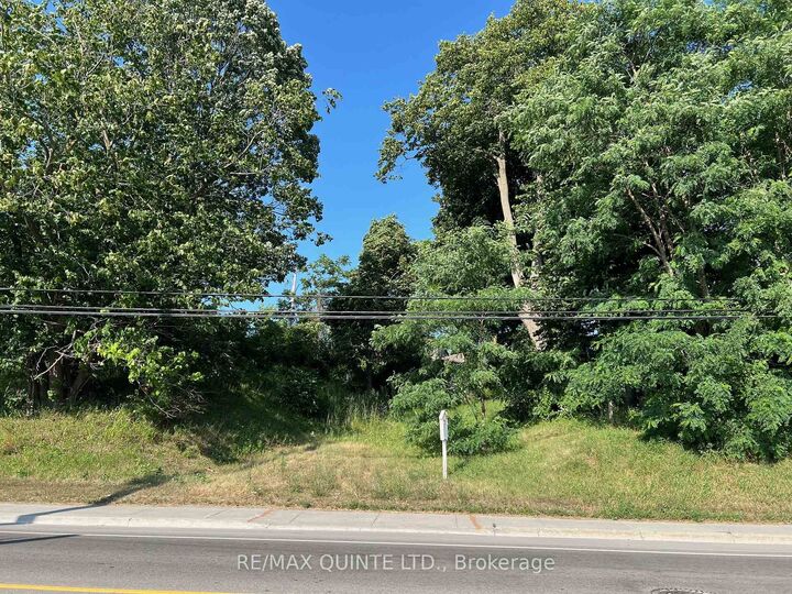 351 Sidney Street  Quinte West ON K8V 2V1 photo