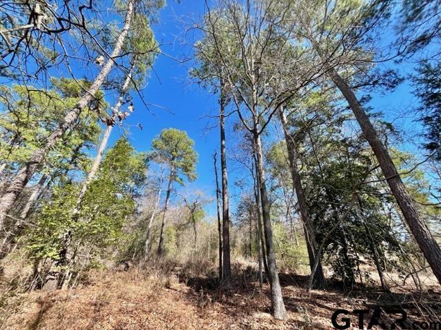 Property Photo: Lot 10 Cr 3545 TX 75765