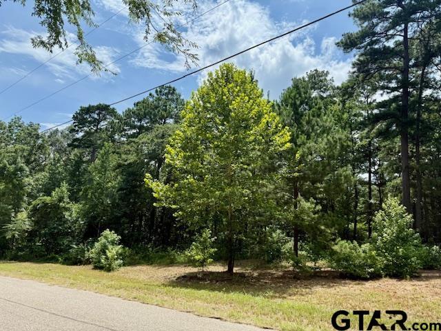 Property Photo: 16203 Cr 436 TX 75771